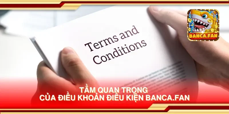 Tầm quan trọng của điều khoản điều kiện blockbusteronline.com.mx